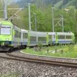 bls_npz_s-bahn_simmental